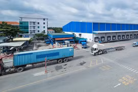 Đấu thầu tại Tân Cảng: Khi Phú Vĩnh Thành 'thua vì giá', 'thắng vì sao?'