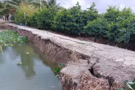 Ngọc Vịnh dồn dập trúng thầu trong nửa đầu năm 2025