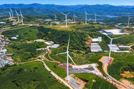 Khu vực đồi chè Cầu Đất.