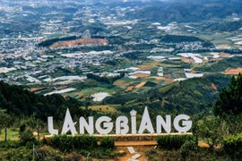 Phường Lang Biang - Đà Lạt đã chỉ ra các bất cập về hạ tầng, kiến trúc và đề xuất điều chỉnh loạt đồ án chậm tiến độ để bảo vệ quyền lợi chính đáng cho người dân.