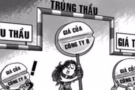 Hiện tượng nhà thầu Phú Vĩnh Thành: Lời giải từ năng lực chuyên biệt