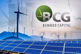 Bamboo Capital xin lỗi cổ đông, vẫn không cứu được thị giá