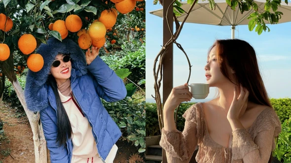 Hot face sao Việt: Diệp Bảo Ngọc chụp ảnh dưới cây cam trái sai lúc lỉu