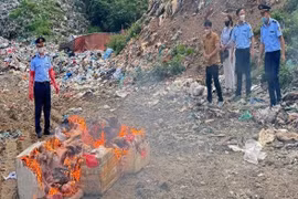 Hà Giang tiêu huỷ 450 kg thịt lợn thối được giấu trên ô tô