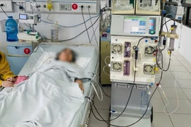 Cứu sống bệnh nhân ngừng tim, sốc nhiễm khuẩn do ong đốt hóa mủ