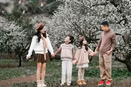 Hoa mận trắng đồi Mộc Châu, mùa 'hốt bạc' cho nhiếp ảnh gia