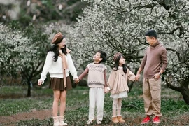 Hoa mận trắng đồi Mộc Châu, mùa 'hốt bạc' cho nhiếp ảnh gia