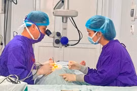 Không đau, không đỏ mắt vẫn có thể mắc glaucoma, mất thị lực