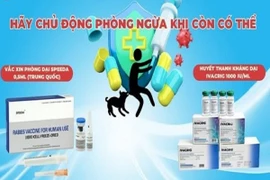 Khi bị chó, mèo cắn tiêm phòng dại thế nào cho đúng?