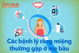 [INFOGRAPHIC] Các bệnh lý răng miệng thường gặp ở mẹ bầu