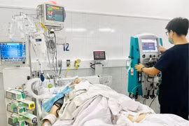 Cứu sống người đàn ông ở Đà Nẵng nguy kịch vì rắn hoa cổ đỏ cắn