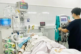 Cứu sống người đàn ông ở Đà Nẵng nguy kịch vì rắn hoa cổ đỏ cắn