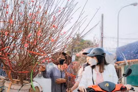 Dự báo thời tiết 14/2: Miền Bắc nắng ấm trước khi chuyển mưa rét