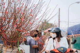 Dự báo thời tiết 14/2: Miền Bắc nắng ấm trước khi chuyển mưa rét