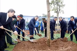 Tổng Bí thư Tô Lâm dự Lễ phát động Tết trồng cây tại Hà Nội