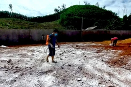 Gia Lai tiêu hủy hơn 100 tấn thịt heo không rõ nguồn gốc, bốc mùi