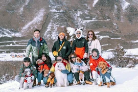 Tour du lịch nước ngoài tăng mạnh dịp Tết Nguyên đán 2026