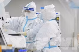 Biến thể mới Covid-19 XEC lây lan nhanh, triệu chứng sao?