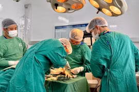 Phẫu thuật nối nửa bàn tay đứt rời do máy cắt tôn