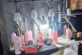 Bên trong xưởng sản xuất nước tẩy giả quy mô lớn