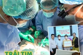 Hai bệnh viện cùng ghép tim cứu sống bé gái 11 tuổi bị bệnh tim bẩm sinh