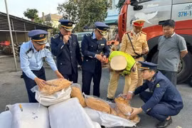 Tiêu huỷ hơn 300 kg ruốc bông bị mốc, có mùi lạ ở Hà Tĩnh