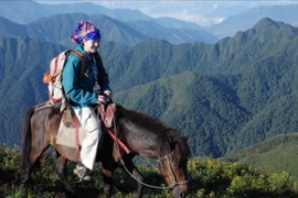 Cưỡi ngựa giữa biển mây Tà Chì Nhù, trải nghiệm độc đáo của Tây Bắc