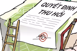 Thu hồi Giấy chứng nhận kinh doanh dược của Hóa dược Quốc tế Phương Nam