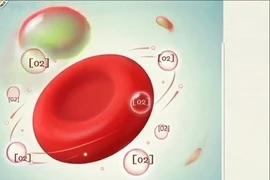 Cơ thể lên tiếng điều gì qua chỉ số xét nghiệm tổng phân tích máu?