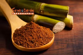 [INFOGRAPHIC] Tác dụng của đường đen