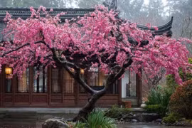 4 lỗi phong thủy gia đình phạm phải sức khỏe cạn kiệt, tài lộc hao tổn