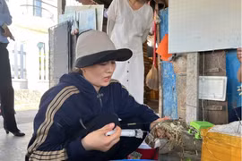 Tôm hùm bơm tạp chất, gian lận thương mại... hại sức khỏe