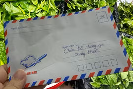 Vợ chồng nghèo vượt 500 km thăm thông gia gặp nạn, gửi quà cảm động