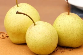 Các bài thuốc từ lê giúp trị ho, nâng cao đề kháng