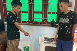 Bắt hai đối tượng trộm cắp điều hòa của nhà dân ở Bắc Ninh