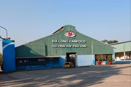 120 tấn lợn bệnh, HaLong Canfoco nói không đưa vào sản xuất, cung ứng