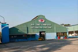 120 tấn lợn bệnh, HaLong Canfoco nói không đưa vào sản xuất, cung ứng