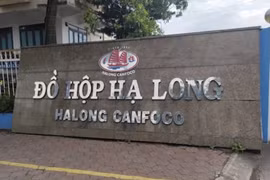 Ăn đồ hộp làm từ thịt lợn nhiễm dịch tả châu Phi nguy hiểm thế nào?