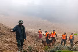 Sử dụng Flycam, chó nghiệp vụ tìm người mất tích do sạt lở núi ở Đà Nẵng