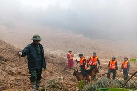 Sử dụng Flycam, chó nghiệp vụ tìm người mất tích do sạt lở núi ở Đà Nẵng