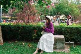 Hoa ban nở rộ khắp phố Hà Nội, hút người dân xuống phố check-in