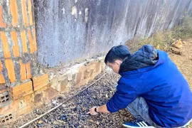 Vụ cướp ngân hàng ở Gia Lai, phát hiện dấu vết đốt quần áo để phi tang