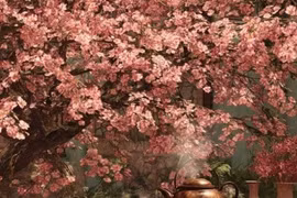 Cổ nhân dặn: Nhà trống 4 nơi, tài lộc ghé thăm, may mắn mỉm cười