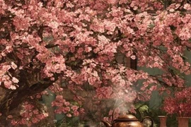 Cổ nhân dặn: Nhà trống 4 nơi, tài lộc ghé thăm, may mắn mỉm cười