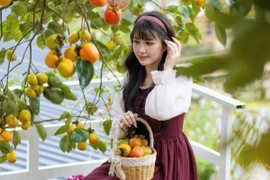 Gợi ý 4 địa điểm thưởng cà phê, ngắm hồng chín tại Đà Lạt