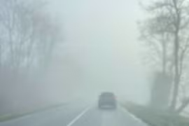 Dự báo thời tiết 30/1: Miền Bắc sáng sớm có sương mù, sắp chuyển rét