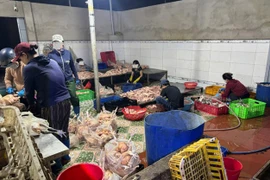 Tạm giữ 10 tấn gia cầm vi phạm an toàn thực phẩm ở Khánh Hòa