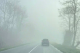 Dự báo thời tiết 30/1: Miền Bắc sáng sớm có sương mù, sắp chuyển rét