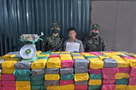 Quảng Trị phá chuyên án QT925.3, thu giữ nửa tấn ma túy