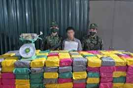 Quảng Trị phá chuyên án QT925.3, thu giữ nửa tấn ma túy